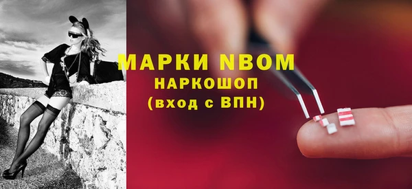альфа пвп Новодвинск