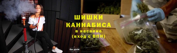 альфа пвп Новодвинск