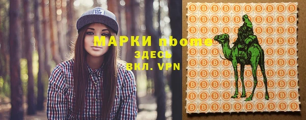 альфа пвп Новодвинск