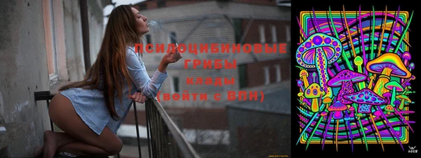 марки nbome Новозыбков