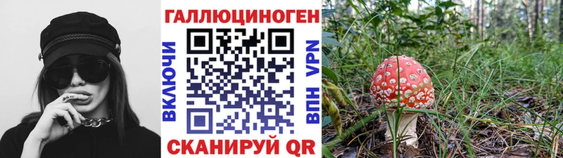 blacksprut маркетплейс  Ардон  Галлюциногенные грибы Cubensis 